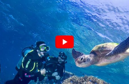 Australia---Great-Barrier-Reef-Conservation---main---Video