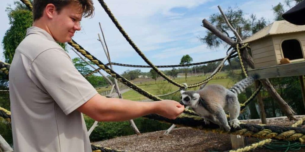 Australia - Port Stephens Wildlife Park20