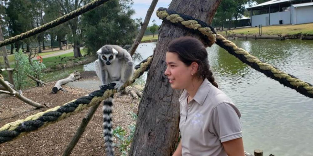 Australia - Port Stephens Wildlife Park27