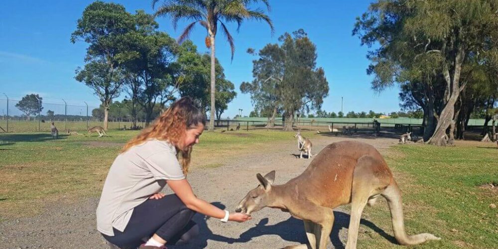 Australia - Port Stephens Wildlife Park3