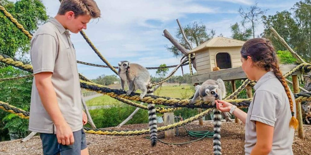 Australia - Port Stephens Wildlife Park5