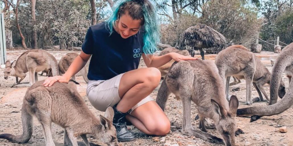 Australia - Wildlife Animal Sanctuary2