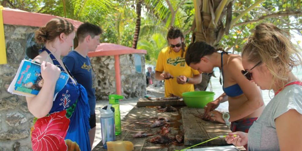 Belize - Family-Friendly Private Island Marine Experience12