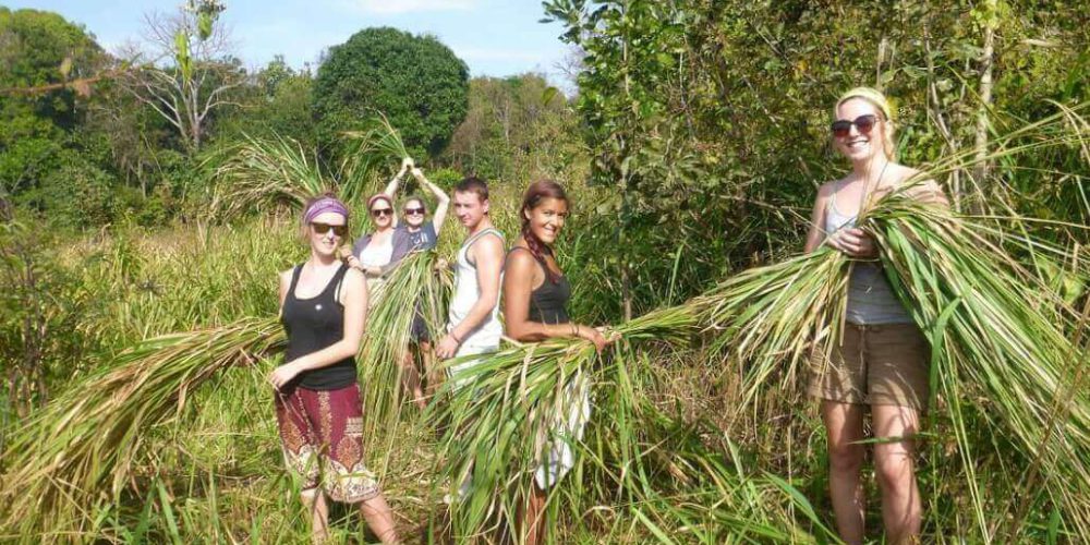 Cambodia - Elephant Sanctuary & Forest Conservation3