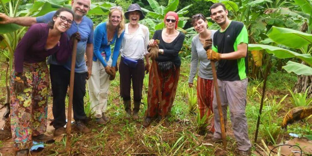 Cambodia - Elephant Sanctuary & Forest Conservation4