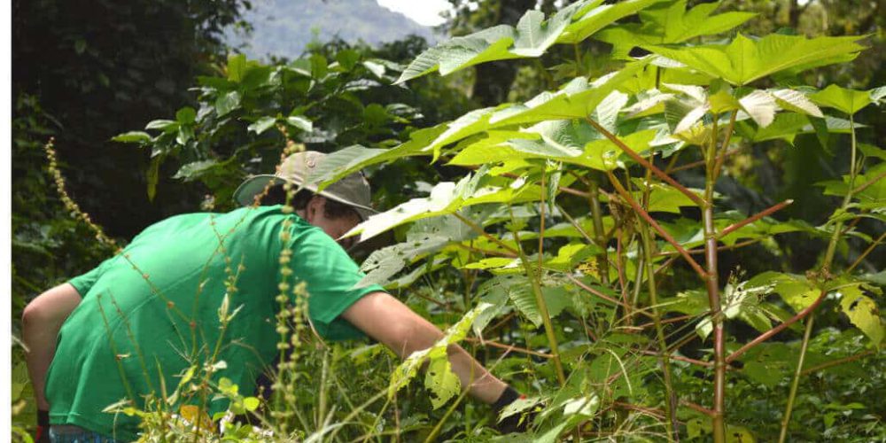 Costa Rica - Sustainable Organic Coffee Farming17