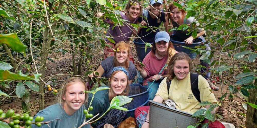 Costa Rica - Sustainable Organic Coffee Farming5