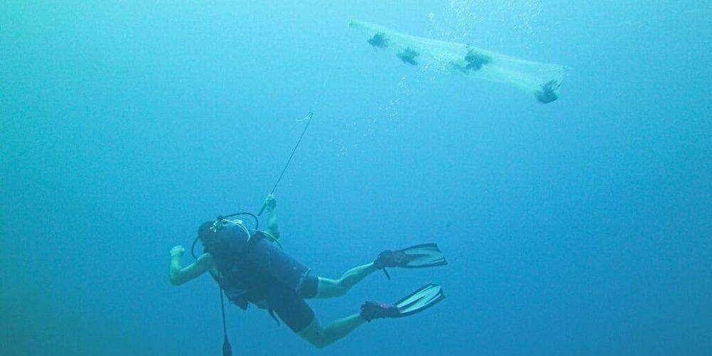 Cuba - Island Seaside Conservation23