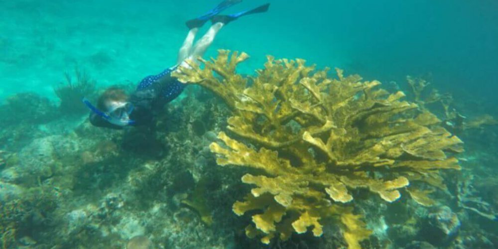 Cuba - Island Seaside Conservation33