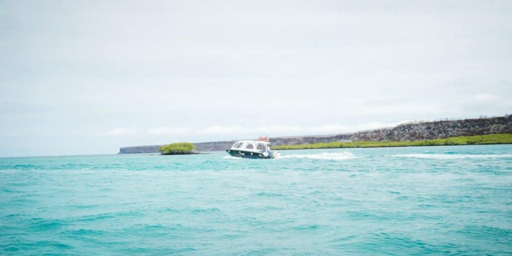 Ecuador - Giant Tortoise and Sea Turtle Conservation in the Galápagos17