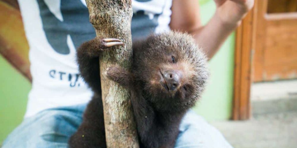 Ecuador - Wild Animal Rescue Shelter28