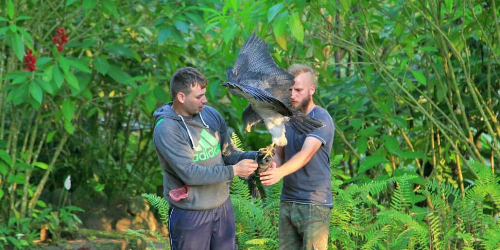 Ecuador - Wild Animal Rescue Shelter6