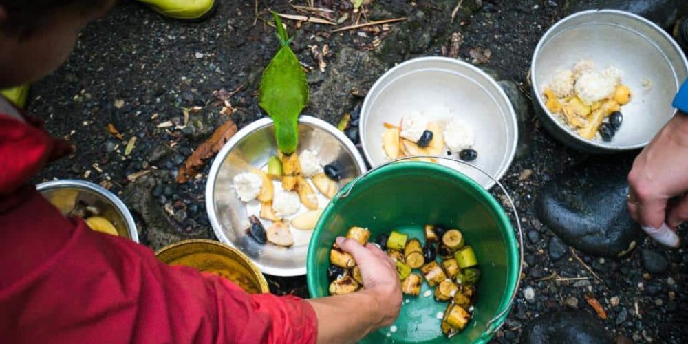 Ecuador - Wild Animal Rescue Shelter9