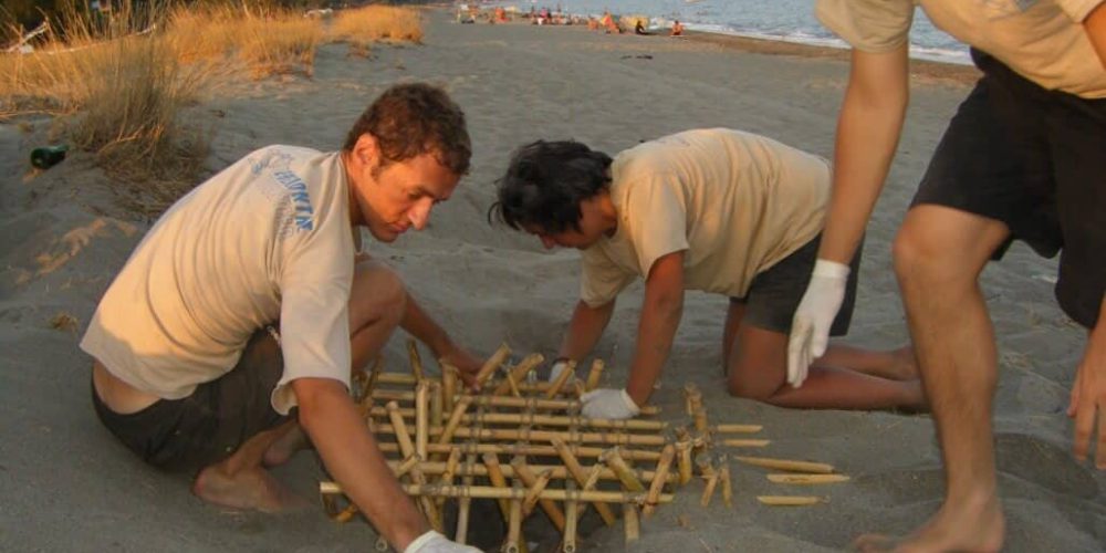 Greece - Mediterranean Sea Turtle Conservation3