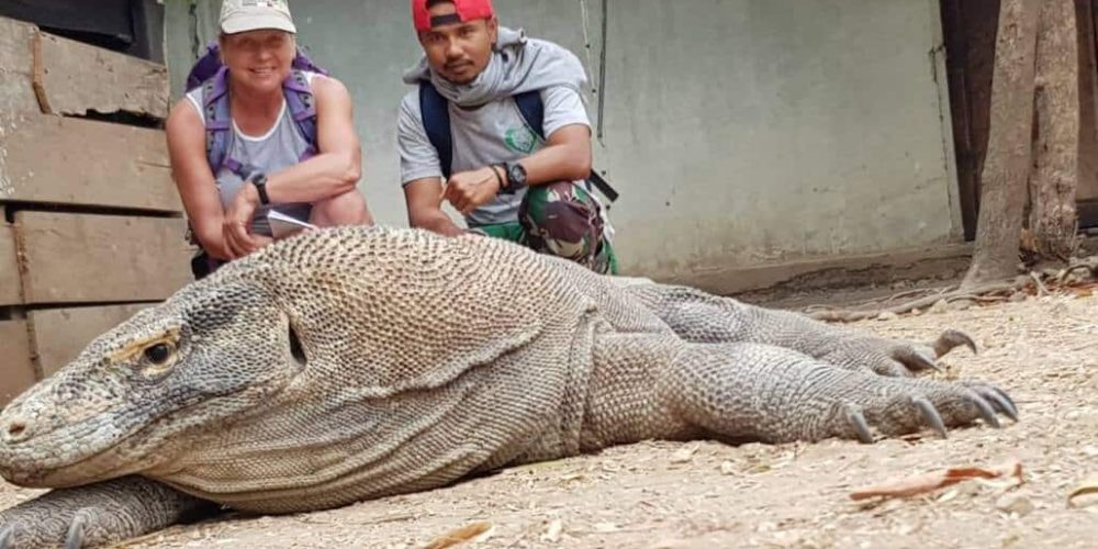 Indonesia - Komodo Dragon Conservation2