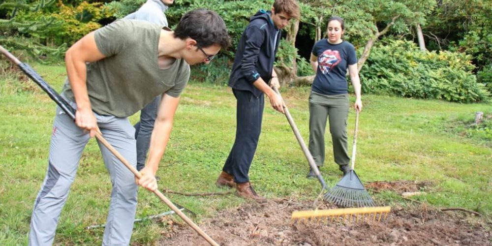 Ireland - Sustainable Farming and Cafe Experience15