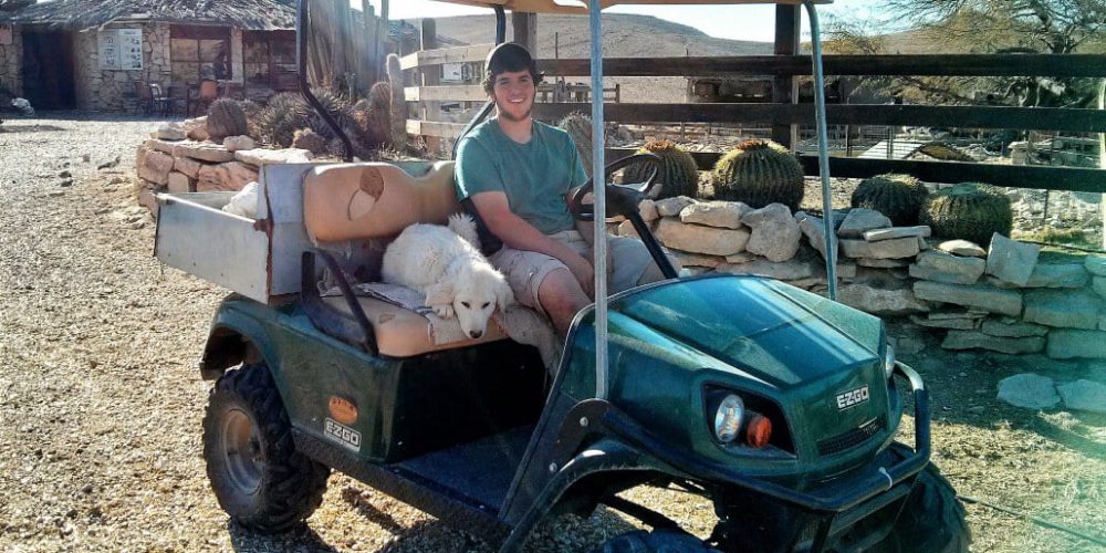 Israel - Desert Alpaca Farm16