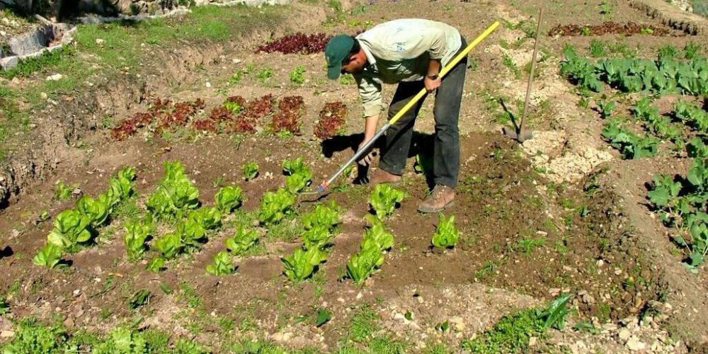 Israel - Sataf Ancient Agriculture2