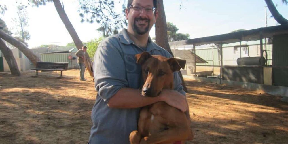 Israel - Tel Aviv Animal Shelter19