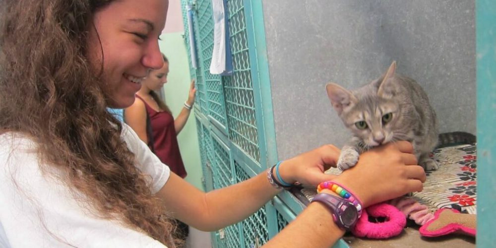 Israel - Tel Aviv Animal Shelter3