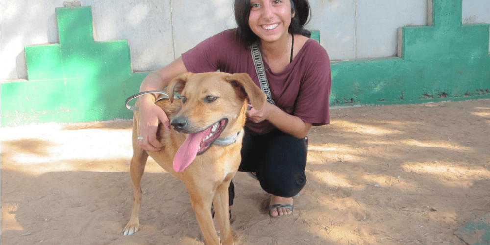 Israel - Tel Aviv Animal Shelter4