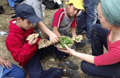 Israel-sataf-ancient-agriculture-with-jnf-main1