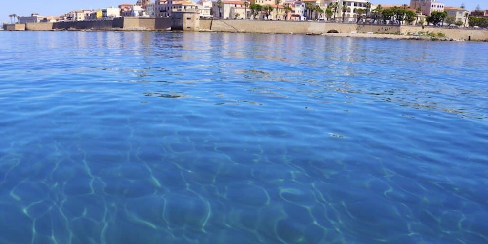 Italy - Dolphin and Marine Life Conservation in Sardinia11