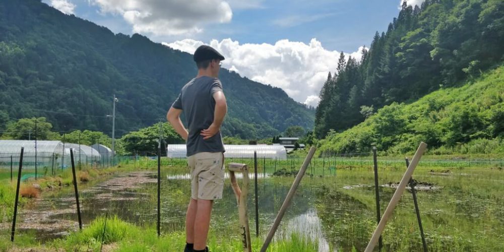 Japan - Otaki Village Agriculture2