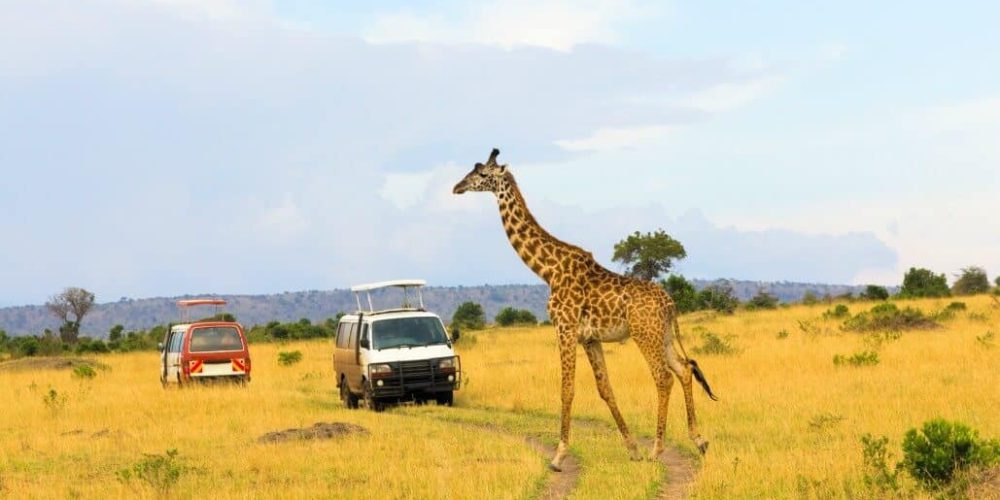 Kenya - Teaching, Maasai Mara and Beach Road Trip2