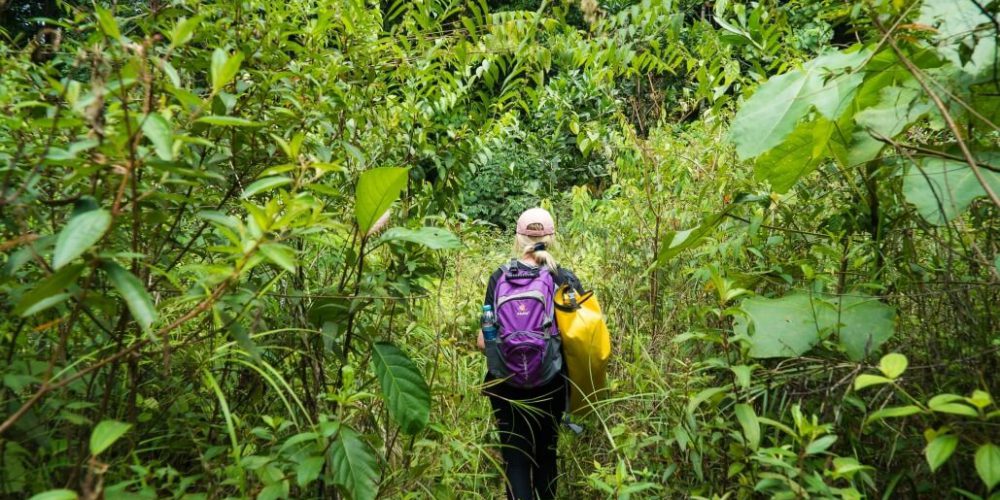 Malaysia - Jungle Trekking and Sea Turtle Conservation4