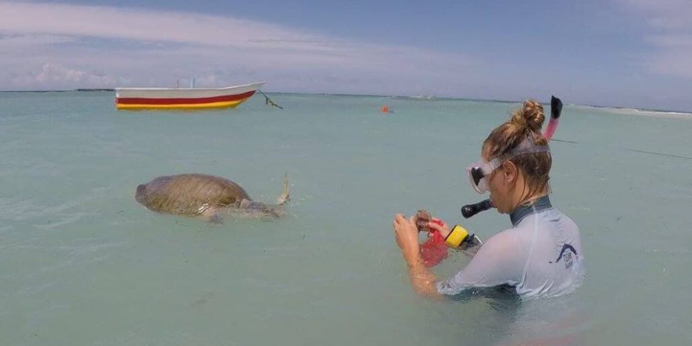 Maldives - Marine and Turtle Conservation6