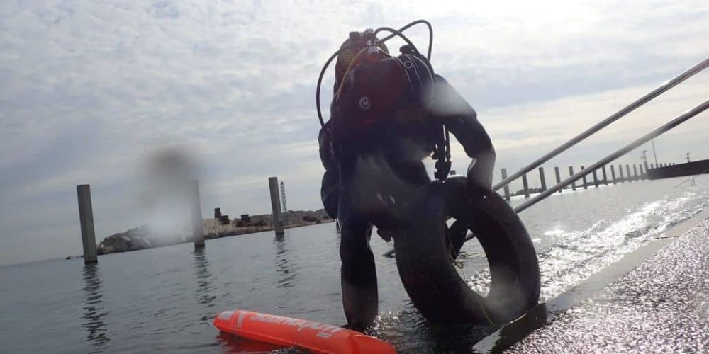 Spain - Marine Conservation in Barcelona 27