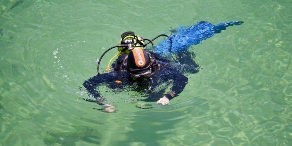 Marine Conservation in Lisbon 08