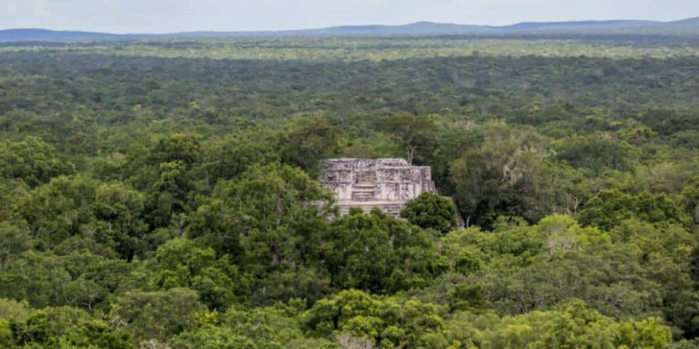 Mexico - Jaguar Jungle Conservation6