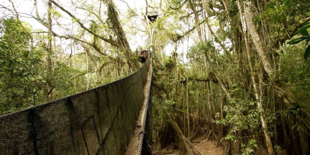 Peru - Amazon Conservation and Machu Picchu Expedition4