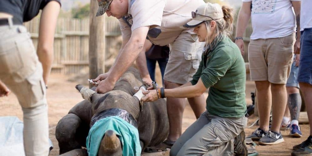 Rhino Orphan Sanctuary08