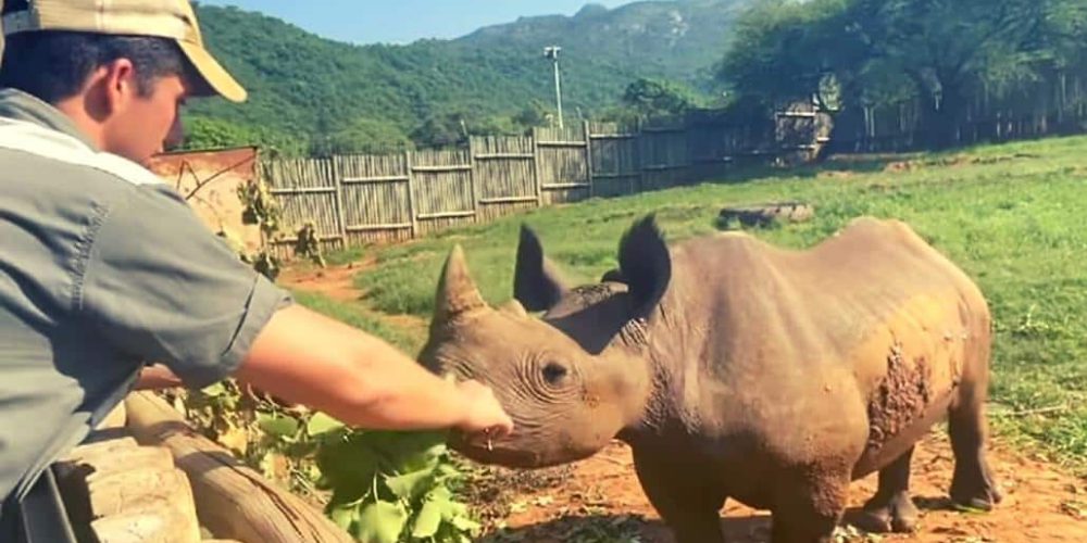 Rhino Orphan Sanctuary15