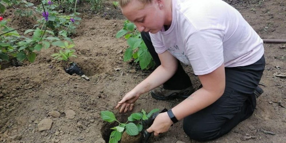 Ecuador - Sea Turtle Conservation and Environmental Outreach 18