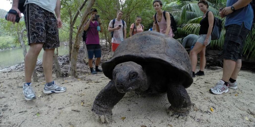 Seychelles - Wildlife Conservation Expedition17