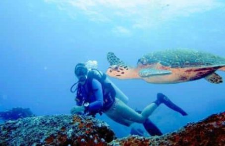 Seychelles-scuba-dive-for-research-and-conservation-main1