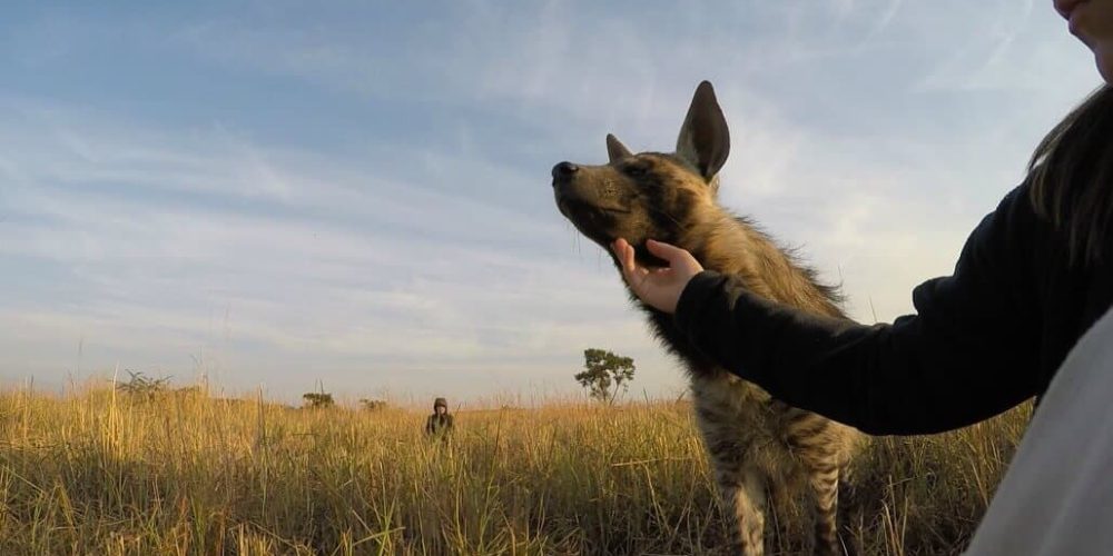 South Africa - Kevin Richardson Wildlife Sanctuary7