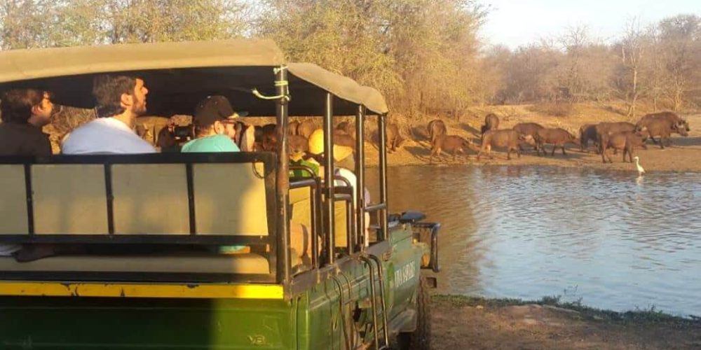 South Africa - Kruger Park & Safari Tour3