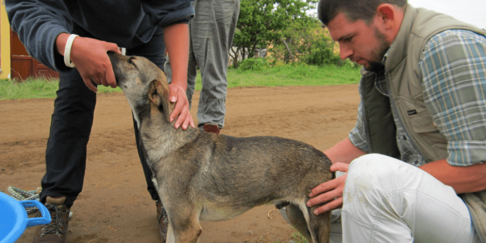 South Africa - Pre-Vet Wildlife Internship14