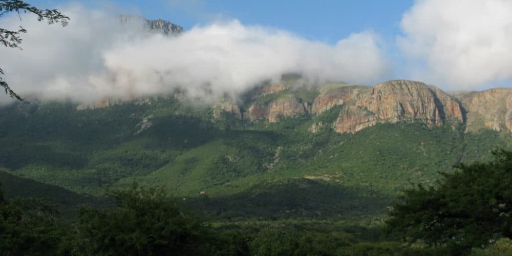 South Africa - Wildlife Rehabilitation Center29