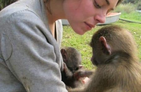 South-Africa-monkey-and-wildlife-rehabilitation-center-main1