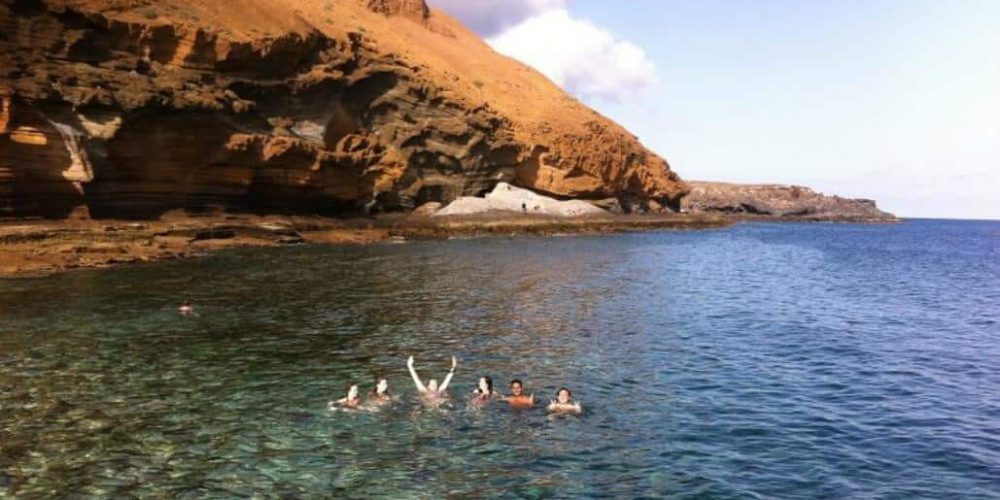 Spain - Canary Islands Dolphin and Whale Research10