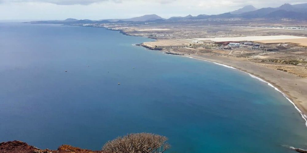 Spain - Canary Islands Dolphin and Whale Research12