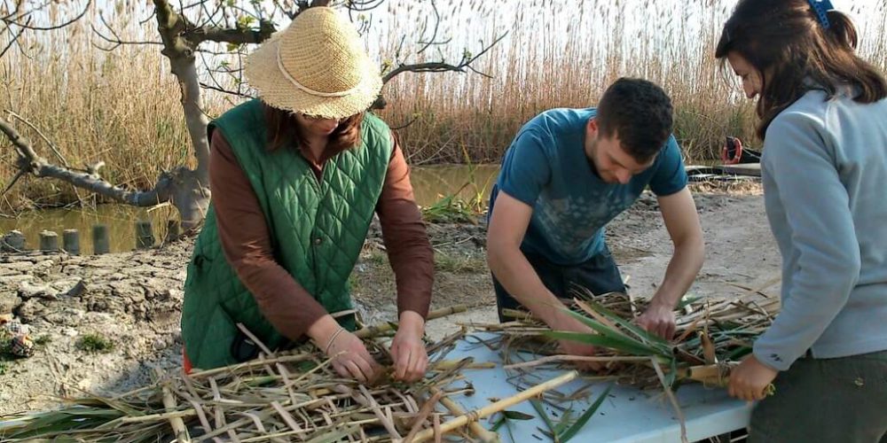 Spain - Conservation Projects in the Valencia Region25