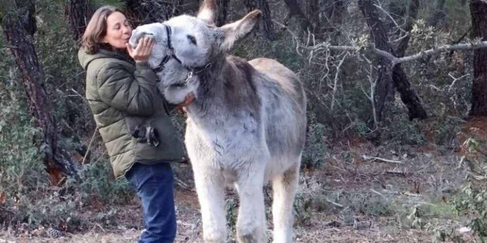 Spain - Wildlife Research and Ecological Farming13