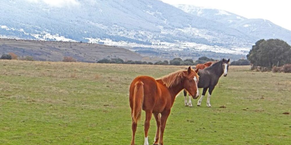 Spain - Wildlife Research and Ecological Farming8